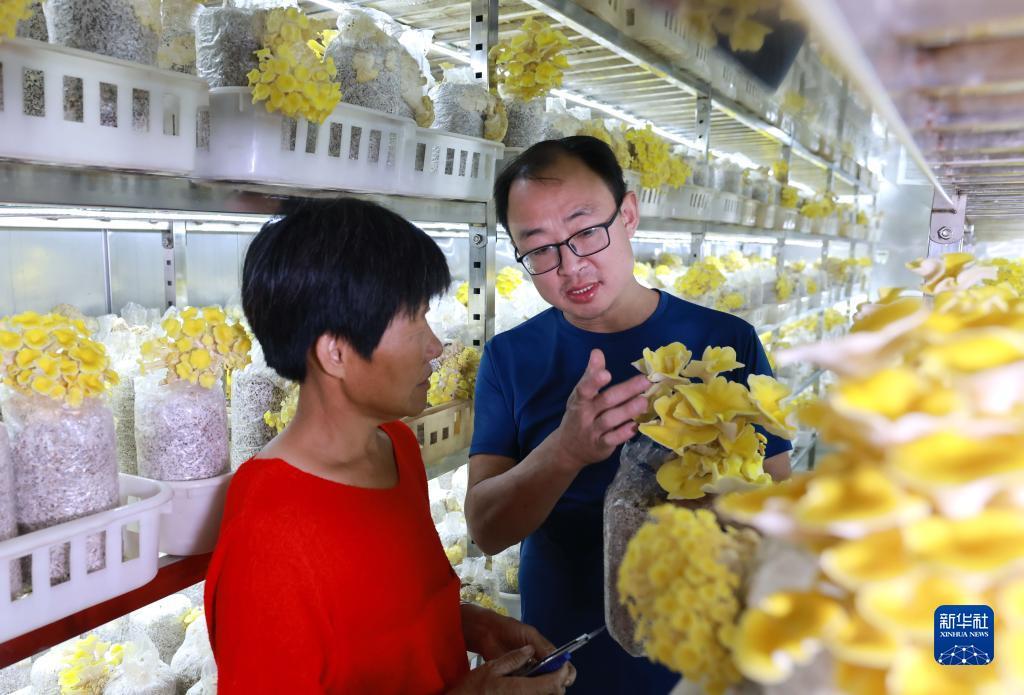 新加坡赌场攻略
